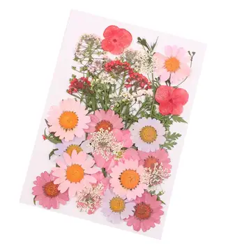1 Torba Kurutulmuş Çiçek Preslenmiş Karışık Doğal Kurutulmuş Çiçekler DIY Aksesuarları Sanat El Sanatları Hediye Dekorasyon Şenlikli Parti Malzemeleri
