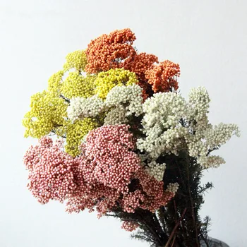 80g Ebedi Kuru Pirinç Çiçek Darı Çiçek Kafaları DIY Doğal Centerpieces Dekorasyon Ev Düğün Parti Dekor