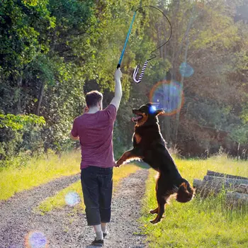 Interaktif Köpek Oyuncak Uzatılabilir Flört Kutup Köpek Eğitim Oyuncaklar Interaktif Eğitim Komik Kovalayan Kuyruk Teaser Ve Egzersiz Evcil Hayvanlar Görüntü 2