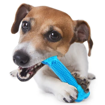 Kemik Şekli Köpek Oyuncak Kauçuk Pet Bite Molar Diş Çiğnemek Oyuncaklar Küçük Yavru Köpekler İçin Açık Eğitim Pet Malzemeleri